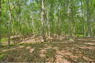 0 Homestead Rd, Long Hill Township, NJ 07933 - Photo 9