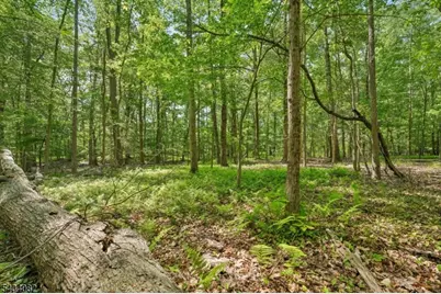 0 Homestead Rd, Long Hill Township, NJ 07933 - Photo 13