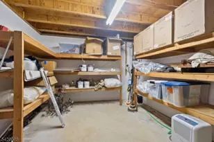 16 Franklin Ct, Montville Township, NJ 07045 - Photo 23