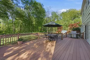 16 Beech Ct, Chatham Township, NJ 07928 - Photo 43