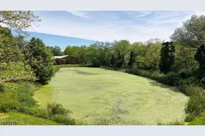 441 Pittstown Rd, Franklin Township, NJ 08867 - Photo 43