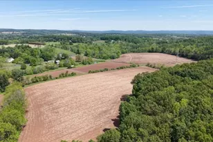 441 Pittstown Rd, Franklin Township, NJ 08867 - Photo 41