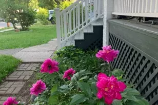 26 Davey St, Bloomfield, NJ 07003 - Photo 5