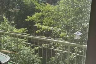 50 Pine St, Montclair, NJ 07042 - Photo 13