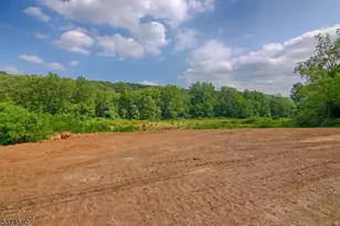 496 Mine Brk Rd, Bernardsville, NJ 07924 - Photo 19