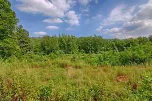 496 Mine Brk Rd, Bernardsville, NJ 07924 - Photo 21