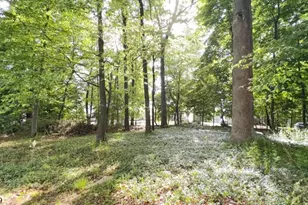22 Richard Dr, Mount Arlington, NJ 07856 - Photo 25