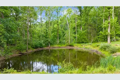 37 Brookville Hollow Rd, Delaware Township, NJ 08559 - Photo 35