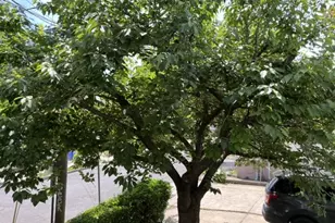 22 Drake St, Bound Brook, NJ 08805 - Photo 7