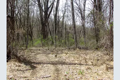 0 Mellicks Woods Rd, Pohatcong Township, NJ 08804 - Photo 13