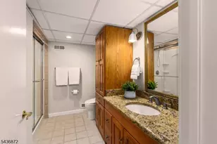 150 Noe Ave, Chatham Township, NJ 07928 - Photo 37