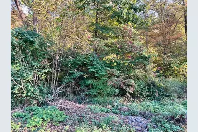 9 Old Woodland Trl, Jefferson Township, NJ 07438 - Photo 3