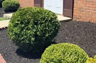 131 Toledo Ln, Willingboro Twp., NJ 08046 - Photo 13