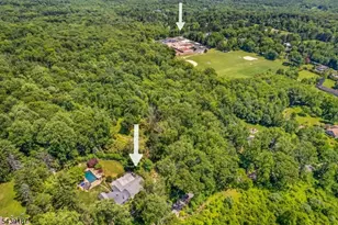 61 Tingley Rd, Mendham Township, NJ 07945 - Photo 33