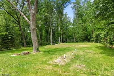 20 Cooper Ln, Chester, NJ 07930 - Photo 23