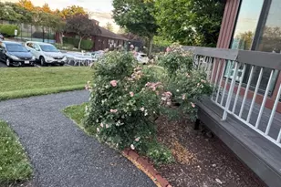 25 Bloomingdale Dr, Hillsborough Township, NJ 08844 - Photo 49