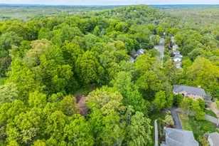 50 Mountain Ave, Chatham Township, NJ 07928 - Photo 15