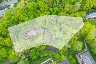 50 Mountain Ave, Chatham Township, NJ 07928 - Photo 11