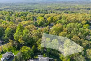 50 Mountain Ave, Chatham Township, NJ 07928 - Photo 17