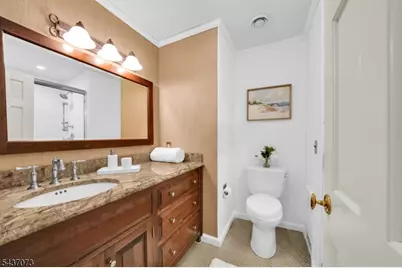 10 Mountain View Dr, Chester, NJ 07930 - Photo 27