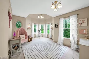10 Mountain View Dr, Chester, NJ 07930 - Photo 33