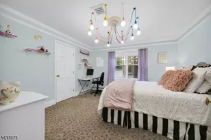 10 Mountain View Dr, Chester, NJ 07930 - Photo 29