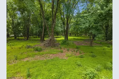 356 S Branch Rd, Hillsborough Township, NJ 08844 - Photo 41