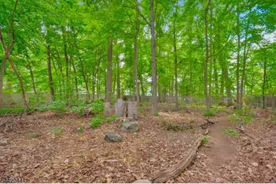 621 Mountain Dr, South Orange, NJ 07079 - Photo 43
