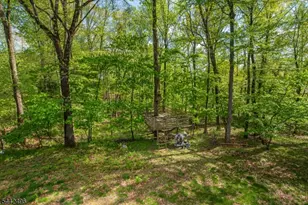 16 Tumbling Brook Rd, Montville Township, NJ 07082 - Photo 45