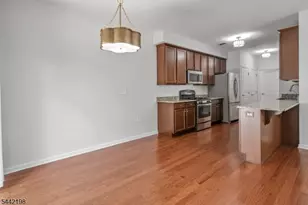 101 Birch Ct, Hanover Township, NJ 07927 - Photo 17