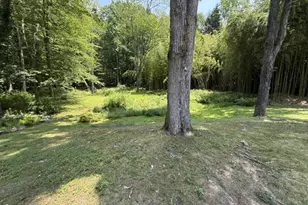 76 Mt Pleasant Turnpike, Denville, NJ 07834 - Photo 5