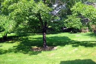 25 Wexford Dr, Mendham, NJ 07945 - Photo 11