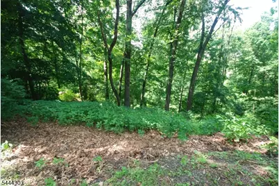 36 Mountain Lake Rd, White Township, NJ 07823 - Photo 21