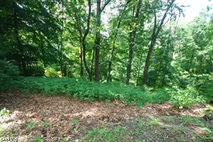 36 Mountain Lake Rd, White Township, NJ 07823 - Photo 21
