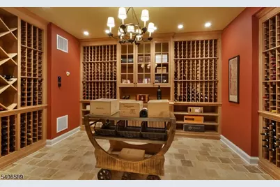 4 Rainetree Rdg, Mendham Township, NJ 07931 - Photo 43