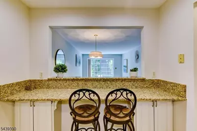 187 Terrace Dr #187, Chatham Township, NJ 07928 - Photo 15