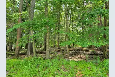 231 Old Chimney Ridge Rd, Montague, NJ 07827 - Photo 5