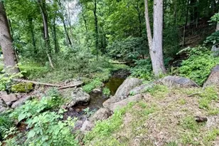 58 Hollow Rd, Lebanon Township, NJ 08826 - Photo 13