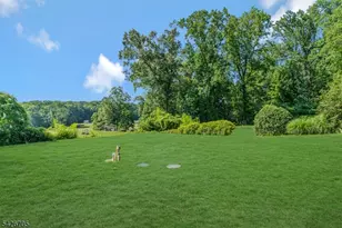 107 Chestnut Ave, Bernardsville, NJ 07924 - Photo 47