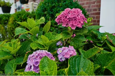754 Dykes Ter, Union Township, NJ 07083 - Photo 29
