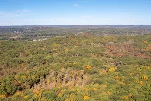 151 Lookout Rd, Mountain Lakes, NJ 07046 - Photo 47