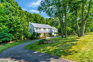 4 Peter Dr, Allamuchy Township, NJ 07840 - Photo 39