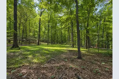 211 Douglass Ave, Bernardsville, NJ 07924 - Photo 5