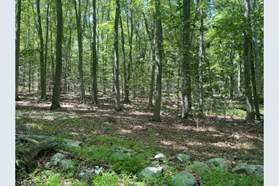 10 Newman Rd, Hardwick Township, NJ 07825 - Photo 1