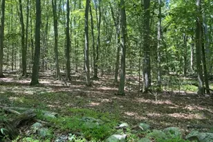 10 Newman Rd, Hardwick Township, NJ 07825 - Photo 1