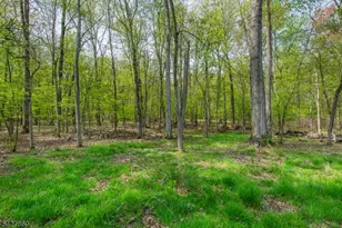 15 Norman Ave, Parsippany, NJ 07034 - Photo 39