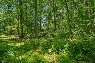 210 King George Rd, Warren Township, NJ 07059 - Photo 7