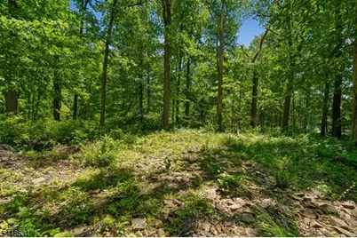 210 King George Rd, Warren Township, NJ 07059 - Photo 3