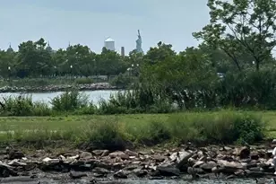 1 Greene St, Jersey City, NJ 07302 - Photo 47