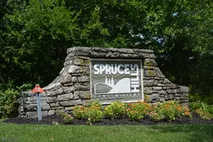 1306 Spruce Hills Dr, Glen Gardner, NJ 08826 - Photo 1